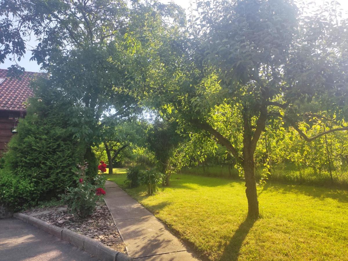 Vendeghaz A Hegyen Villa Budapest Luaran gambar